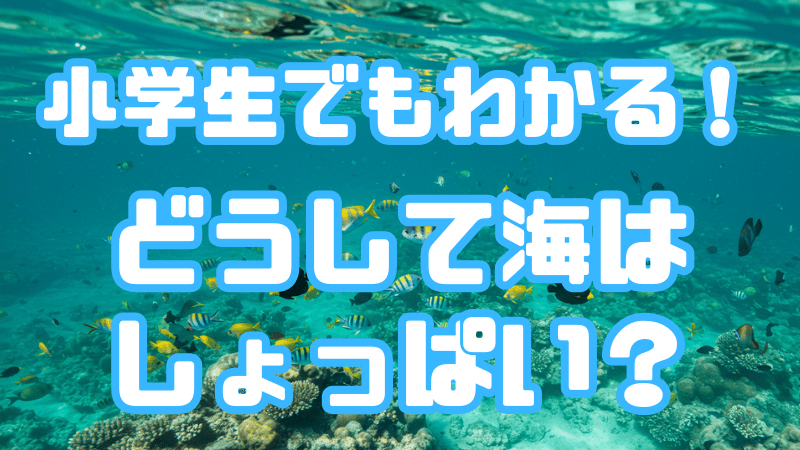 小学生でもわかる！ 「どうして海はしょっぱい？」