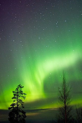 オーロラの実物写真