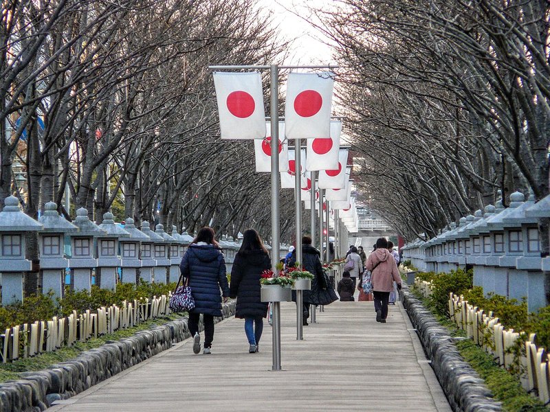 源頼朝が整備した鶴岡八幡宮の参道「段葛」