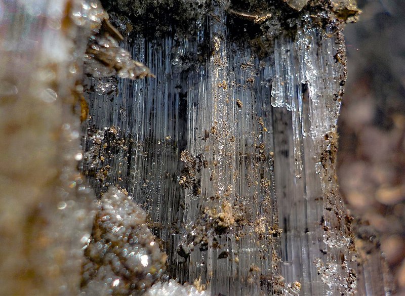 地面からガラス細工のようにニョキニョキ伸びる霜柱