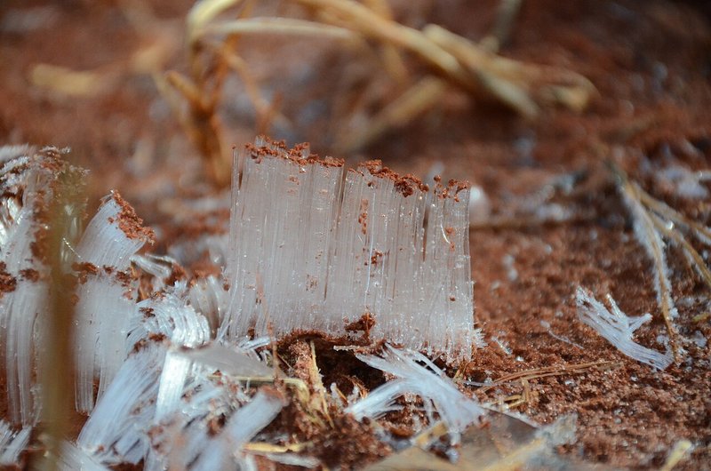 氷の力で土の粒が持ち上げられている様子